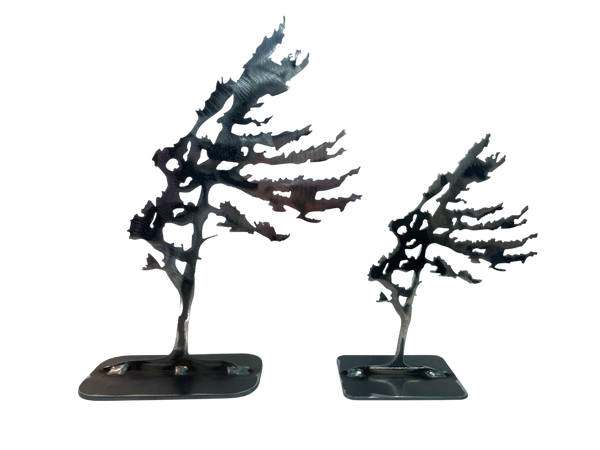 WINDSWEPT TREE