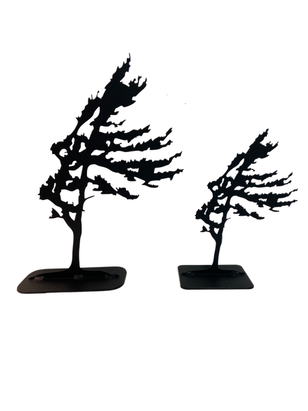 WINDSWEPT TREE